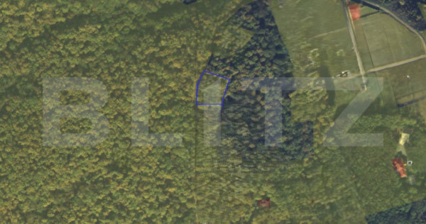 Teren &icirc;mpădurit intravilan de v&acirc;nzare, 1000 mp, Alba Iuli