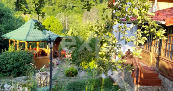 Casă la țară complet mobilată, 5.500 mp teren &ndash; Topli?