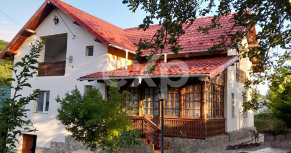 Casă la țară complet mobilată, 5.500 mp teren &ndash; Topli?