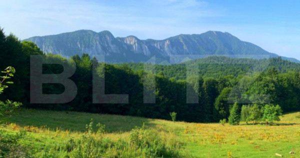 Teren intravilan - Trei Brazi, Predeal