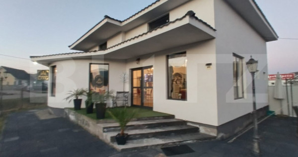 Casa noua de vanzare, finisata, Lechinta