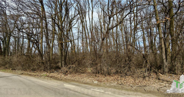 Teren / Padure in Corbeanca - Radarului