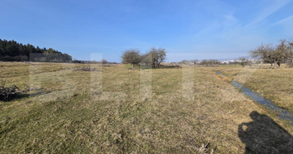 Teren intravilan de v&acirc;nzare &ndash; 4.200 mp &ndash; Zona Restauran