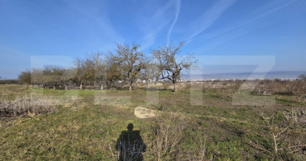 Teren intravilan de v&acirc;nzare &ndash; 4.200 mp &ndash; Zona Restauran