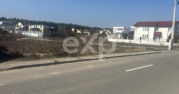 Teren cu autorizatie case in Trivale - Tancodrom