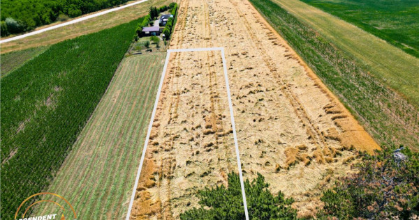 FILM! Teren extravilan, Valea Crisului, Covasna