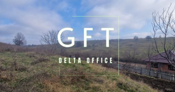 Teren intravilan | Livezile