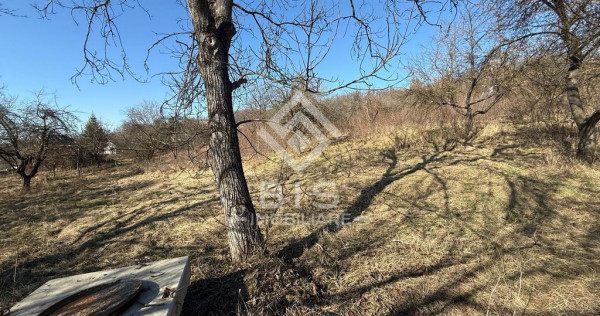 Teren 3341 mp Valea Budacului