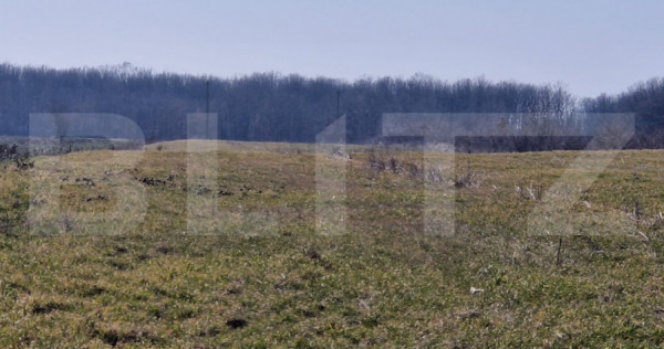 Teren intravilan Robanesti, 10000mp