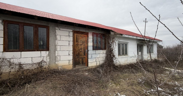 Casă Dumbraveni strada viilor 20