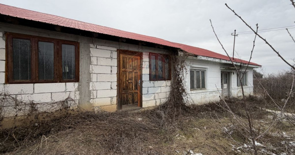 Casă Dumbraveni strada viilor 20