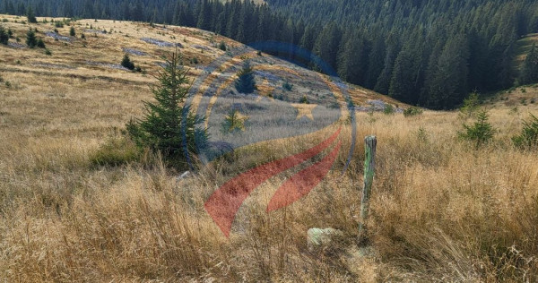 Teren de vanzare in Horezu/Bolca Pietrele Scrise/Valcea