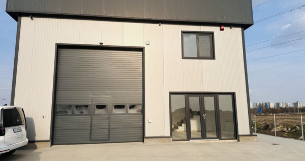 Hala industriala nouă, 386 mp, teren 900 mp, Domnești-Cent