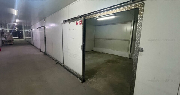 Spatii de depozitare 25 - 60 mp: produse BACANIE - Norme DSV