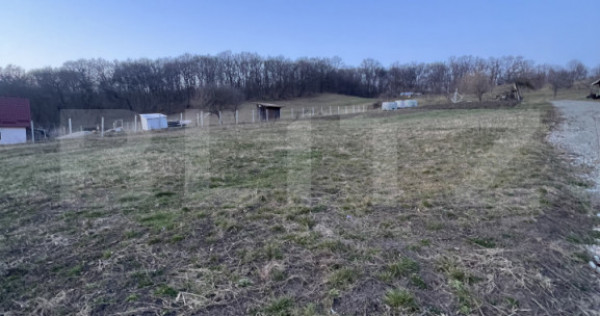 Parcele la padure in extensie intravilan , Drumul Tarpiului