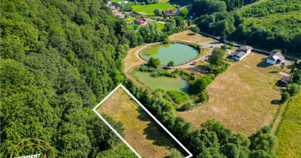 FILM! Teren extravilan pe 2.737mp,zona pretioasa,acces facil