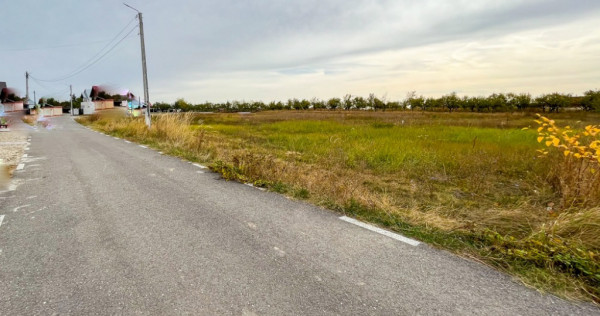 Teren Intravilan Albota Arges