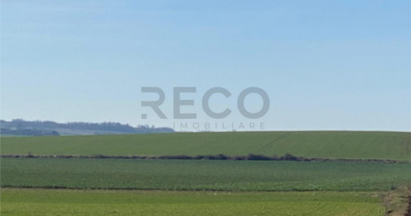 RECO Teren pentru investitie 4ha Tauteu-Zona Autostrazii T