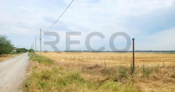 RECO, teren intravilan, Zona Sinteu, Bihor