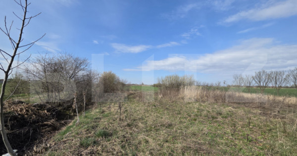 Teren de vanzare, 5000 mp, zona Odobescu Satu Mare