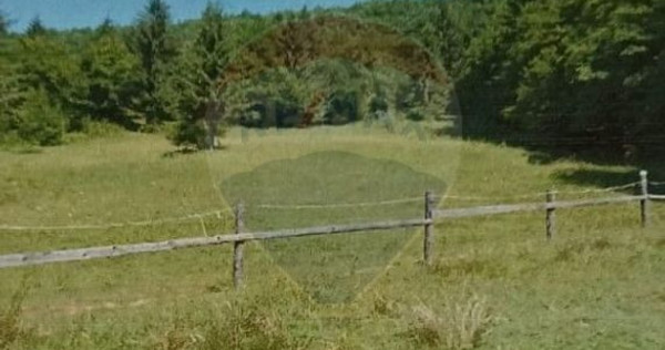 Poienita 2800mp, Covasna, zona hotel Clermont, inconjurat...