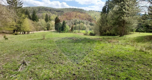 Poienita 2800mp, Covasna, zona hotel Clermont, inconjurat...