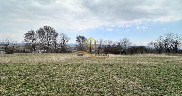 Teren de vanzare Blagesti Bacau