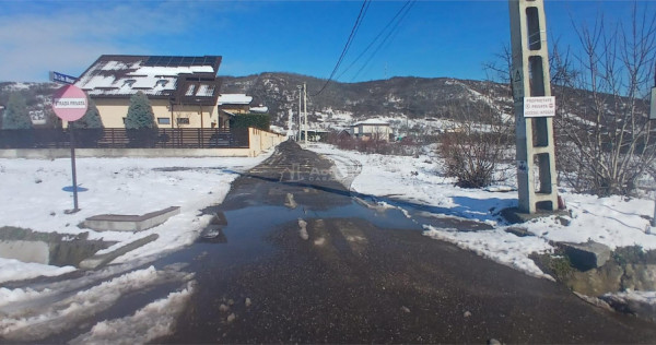 Teren intravilan 6345mp de viforata