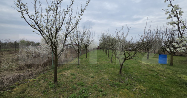 Teren intravilan de vanzare, 2.877 mp, zona Apateu Satu Mare