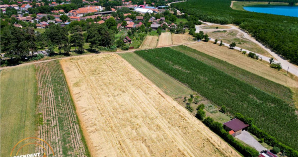FILM! Teren extravilan, Valea Crisului, Covasna
