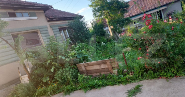 Casă cu teren 28,67 ari Botiz