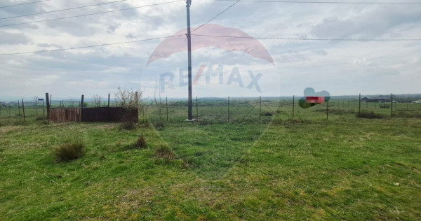 Teren intravilan in Sebis 5000 mp / Strada Ciutariei