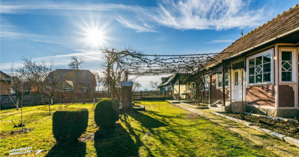 FILM! Casa traditionala, pe domeniu pretios, de 7.608 mp, Ce