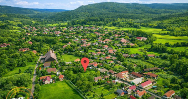 FILM! 5.000mp teren intravilan cu casuta rustica, Dalnic, Co