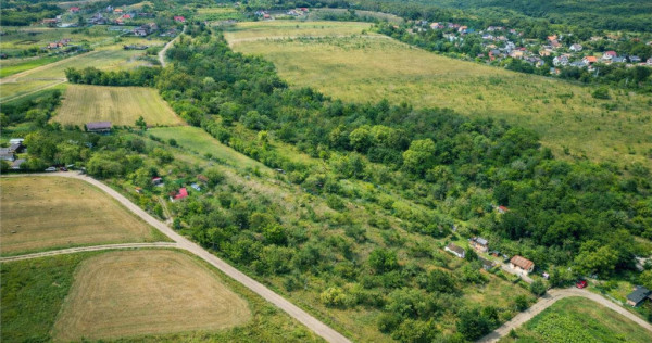 FILM! Confortabila ariere, 4.500 mp, arbori roditori, Sancra