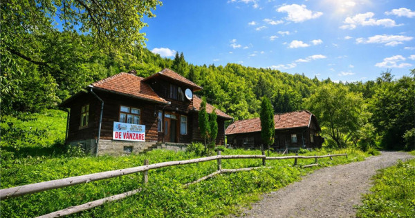 FILM! Casa traditionala pe domeniu de 4.300mp teren, Bran -