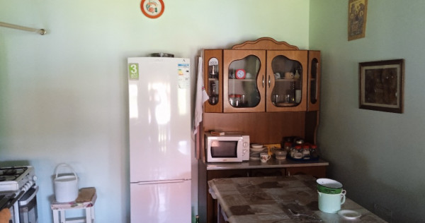 Casa la tara cu teren aferent (8.093 mp) Mesesenii De Sus, Salaj