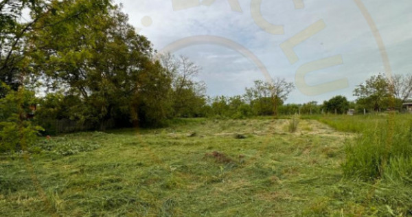 Teren intravilan Prundu - oportunitate excelentă de invest