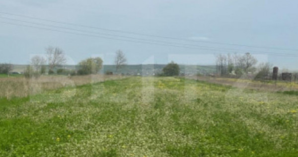 Teren intravilan, 500 mp, Geormane