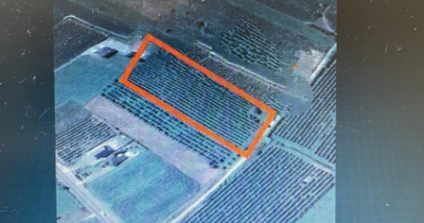 Oportunitate teren intravilan Somcuta Mare