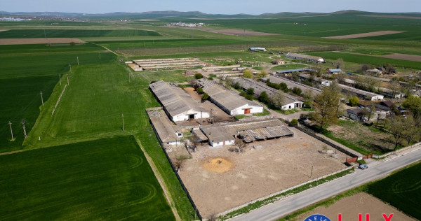 ID 7905 Oportunitate investiție agro-industrială - EXCLUSIVITATE