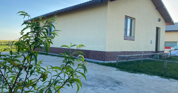 Case pe parter cu 3 camere-Teren 800 mp-Asfalt-Mutare imedia