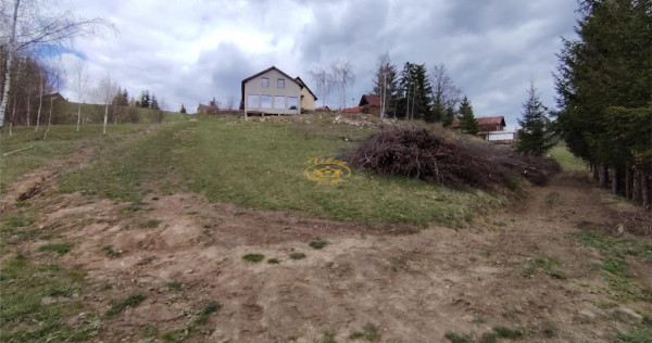 Teren intravilan in Izvoru Muresului (str. Principala)