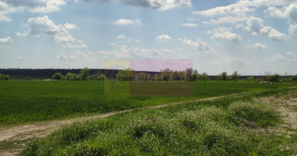 Poșta -Teren 12.450mp pretabil hală/rezidențial la 150...