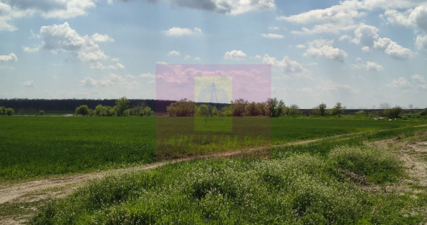 Poșta -Teren 12.450mp pretabil hală/rezidențial la 150...