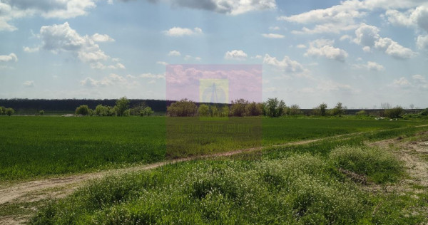 Poșta -Teren 12.450mp pretabil hală/rezidențial la 150...