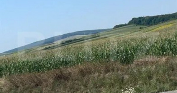 Teren in Acatari la E60 - 1,73 hectare