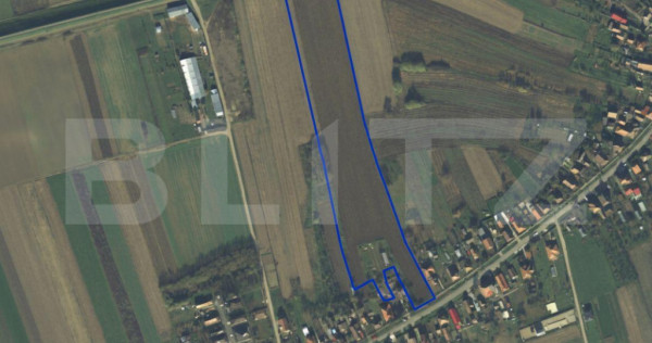 Teren intravilan de vanzare, 27.958 mp, in Vetis