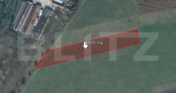 Teren de 5000 mp, Stupini
