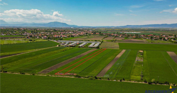 FILM! Teren extravilan 5.000 mp in zona linistita cu acces f